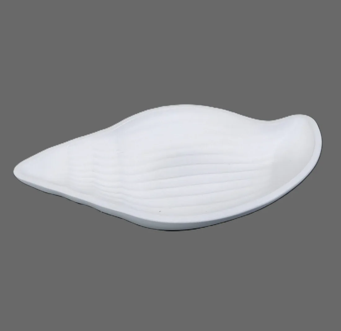 Concha, supplied sample photograph 1