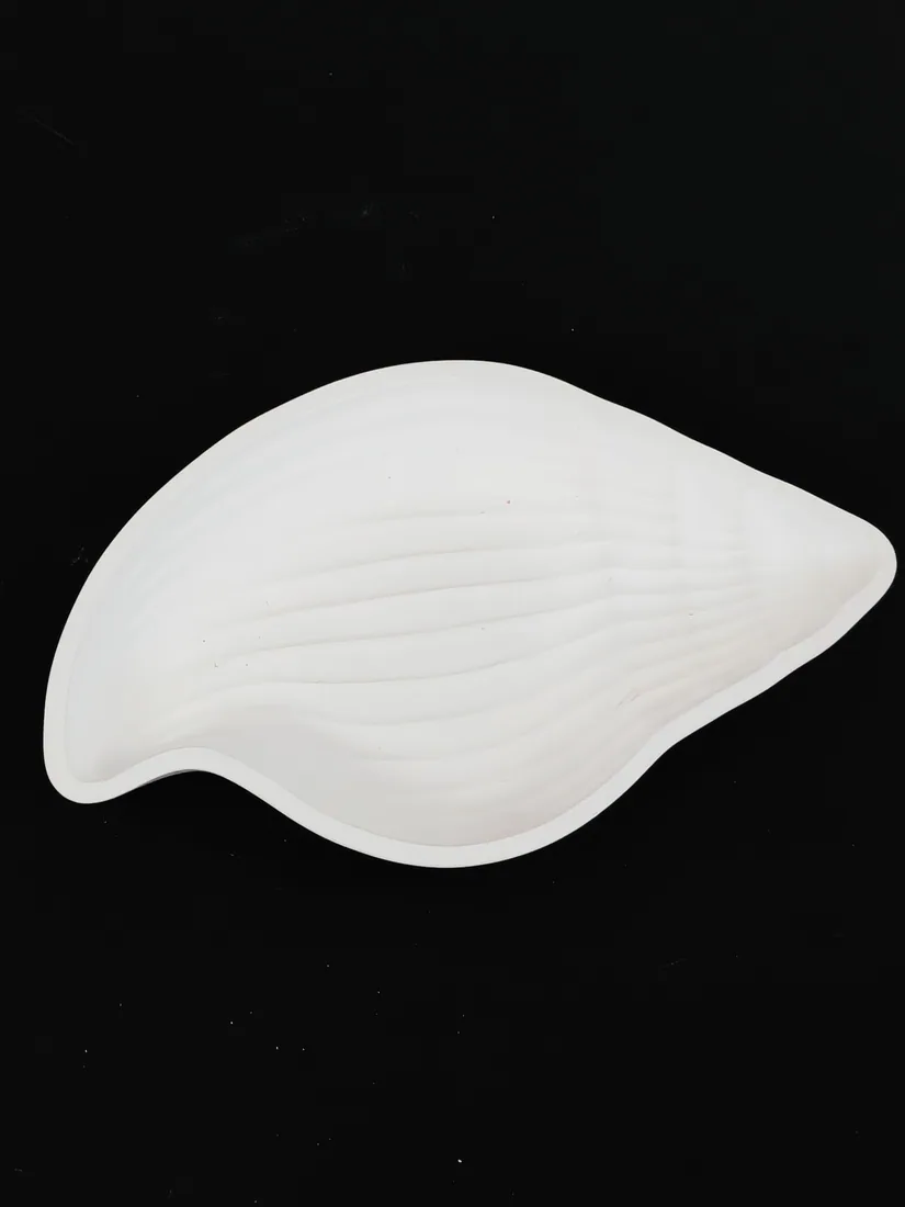 Concha, supplied sample photograph 2